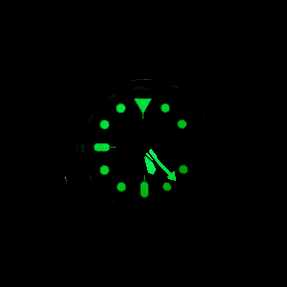 Abalone Diving-Montre mécaniqu - Luxury Watch In Japan avis et prix